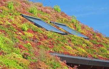 Coagh living roof systems
