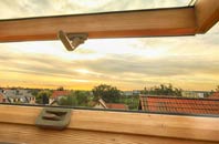rated Coagh roof window companies